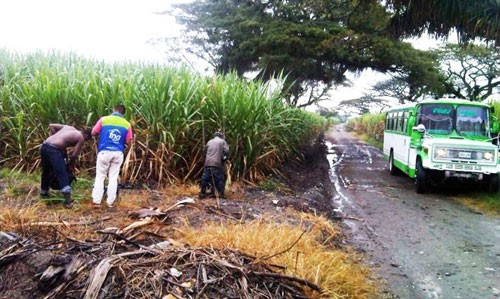FNA, entidad líder en el recaudo de cesantías, llega a cultivos de caña de azúcar
